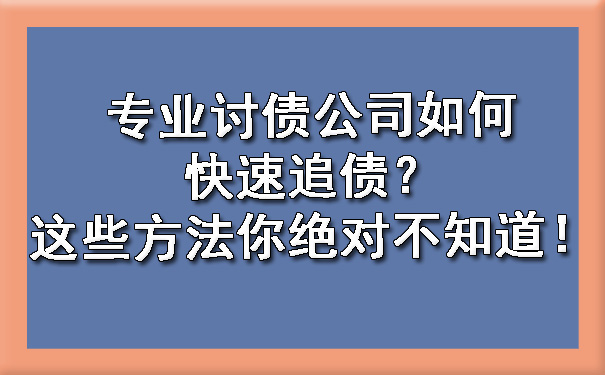 专业讨债公司如何快速追债？这些方法你不知道！.jpg